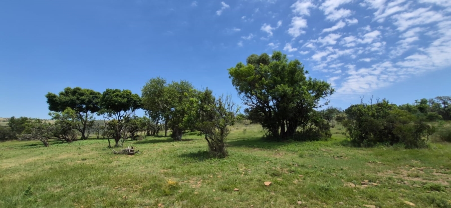 11 Bedroom Property for Sale in Groot Marico North West